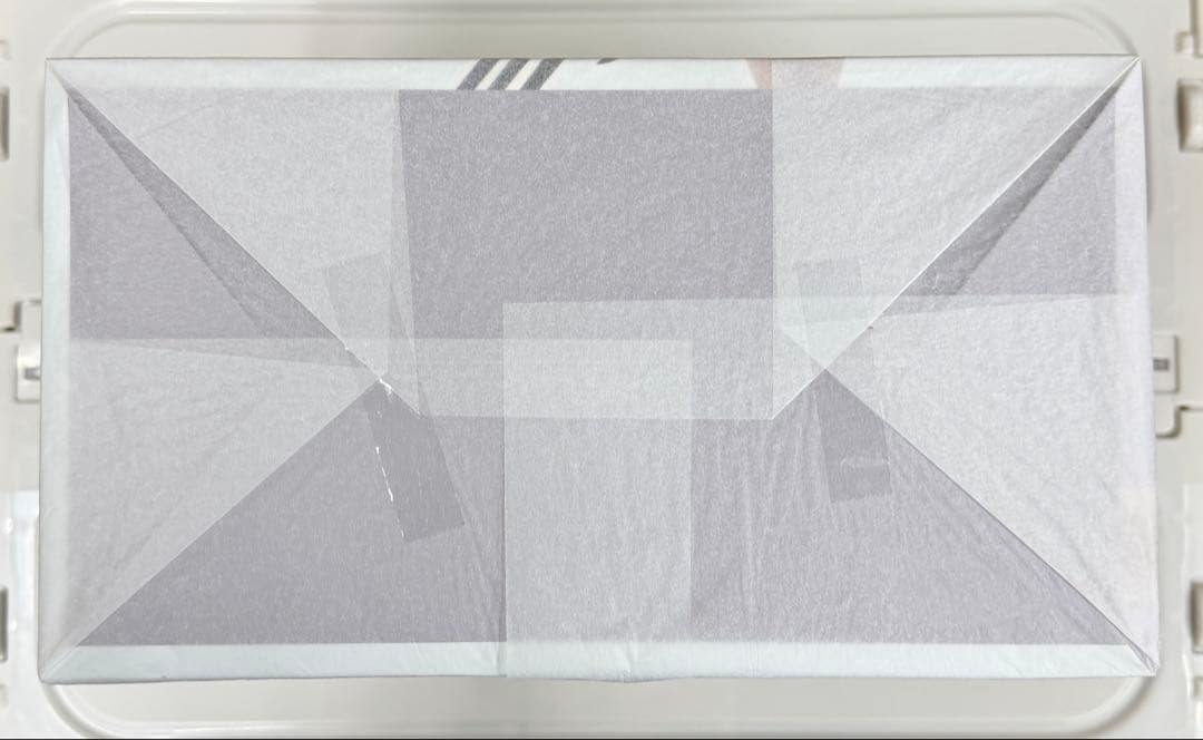 新品 あみあみ特典付き ワンダフルワークス リラ 水着ver ライザのアトリエ