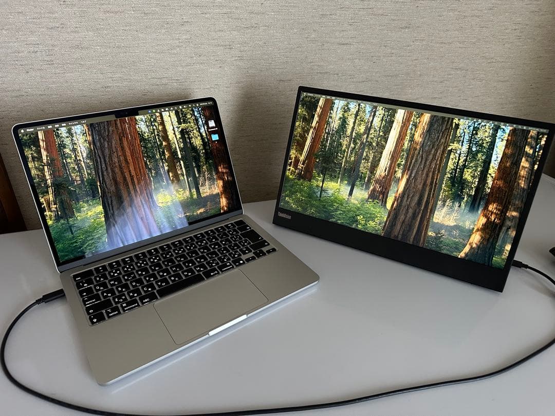 ThinkVision M15　モバイルモニター