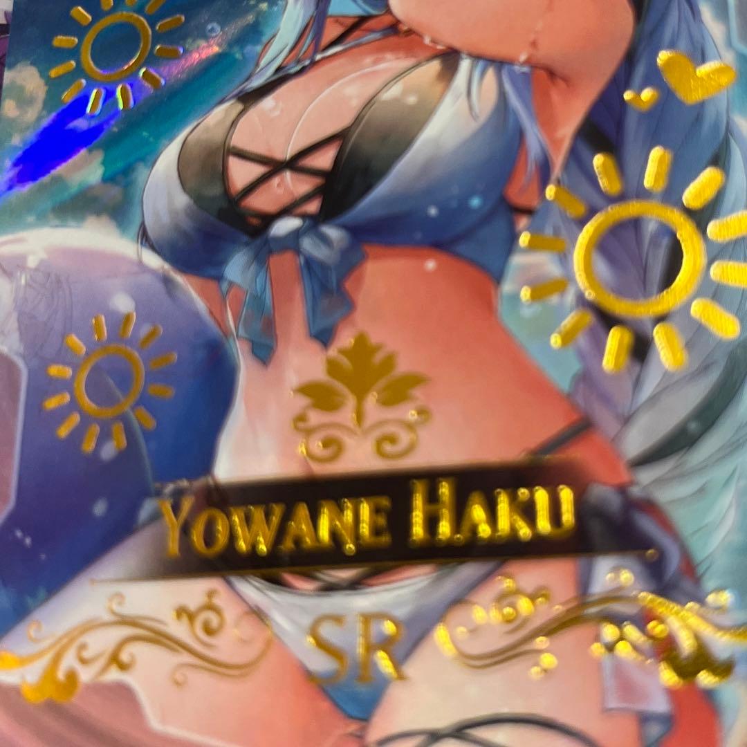 acgセクシーカード　　HAK⭐︎37      美品