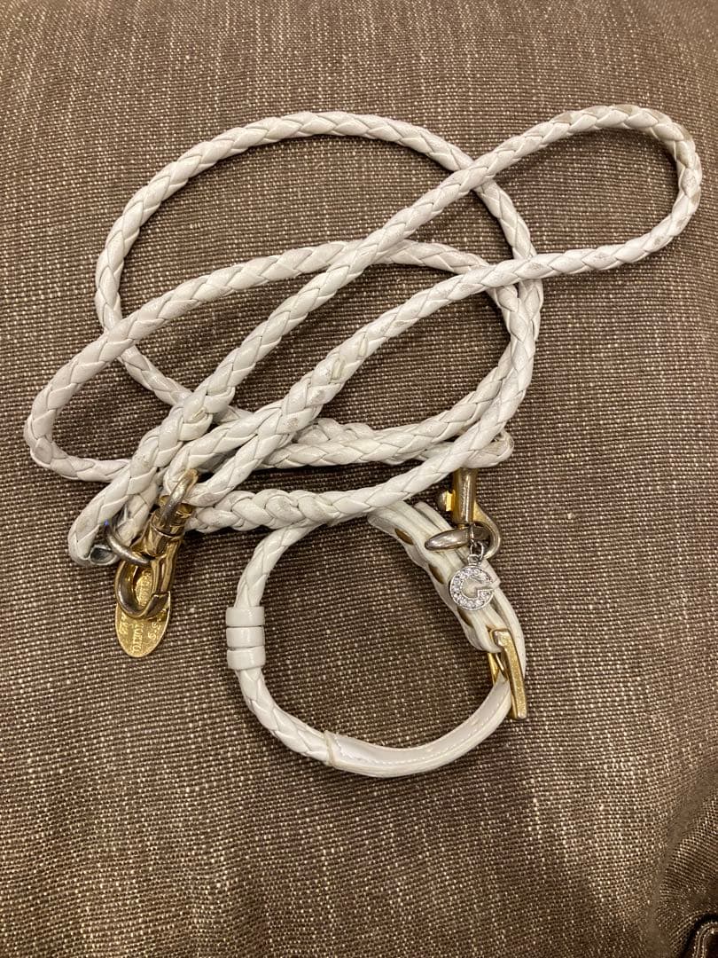 atelier gg カラー＆リード セット