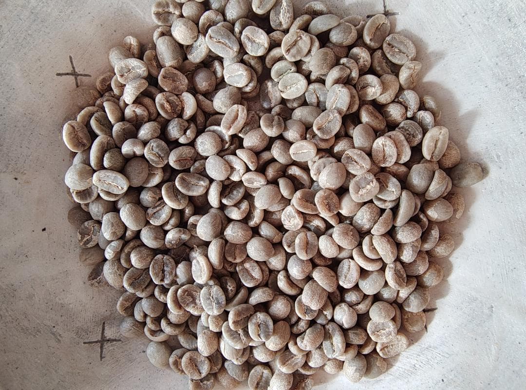 ケニア産コーヒー生豆　キマンディ農園製品 5kg 品番：KC-5000