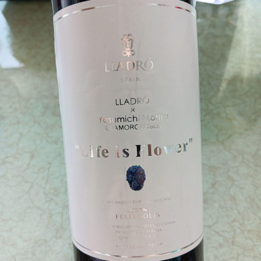 LLADRÓ Life is Flower リヤドロ　森田恭通　ワイン　激レア
