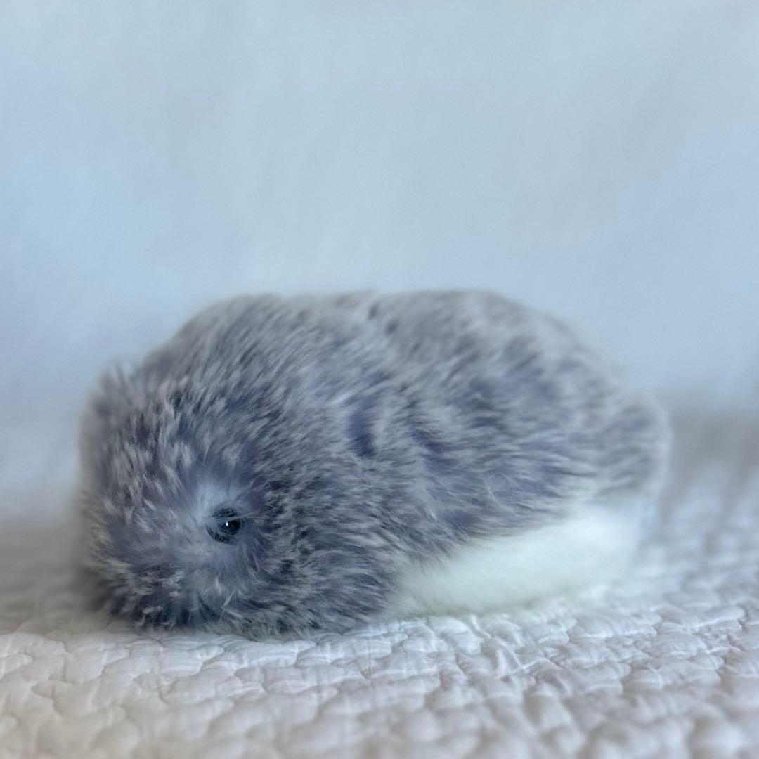 CASIO AIペット モフリン Moflin シルバー 本体＋付属品