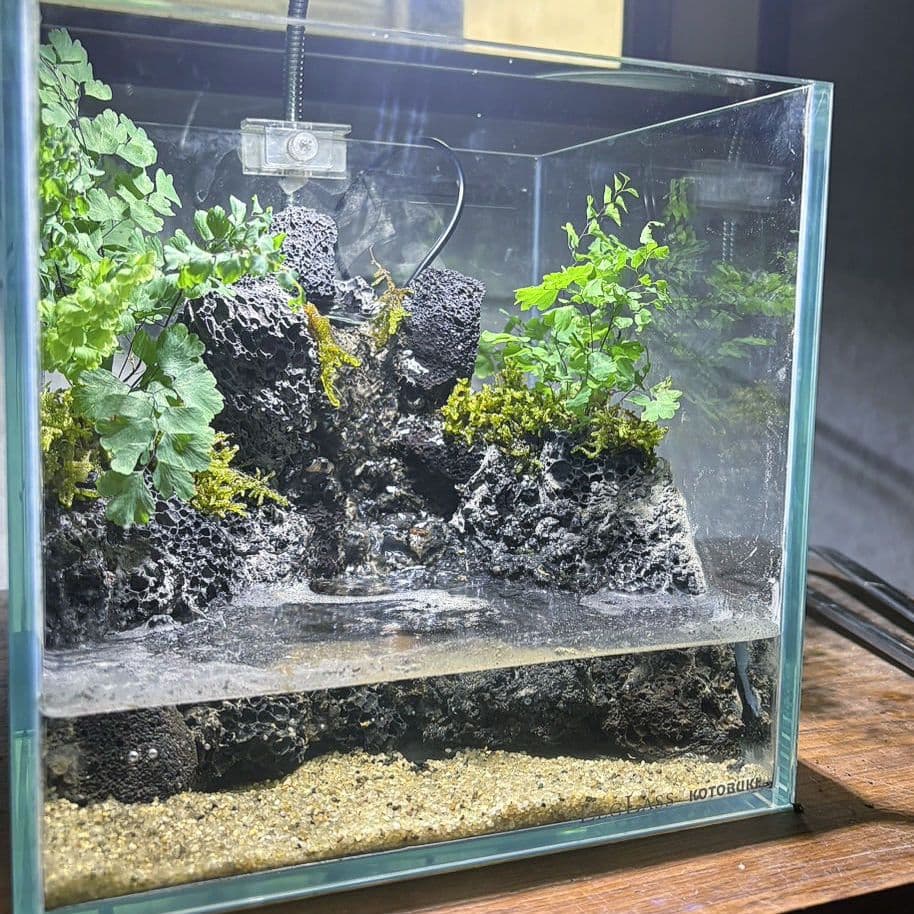 滝の流れるアクアテラリウム　イモリウム　No.1132