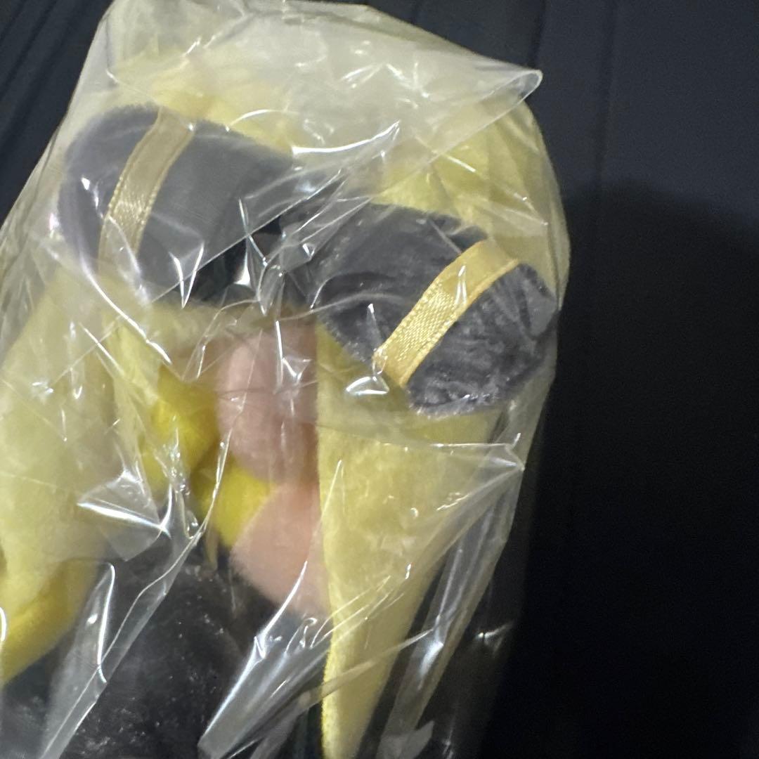 【新品未使用】ポケモン　トレーナー　シロナ　ぬいぐるみ　フィギュア　タグ付き