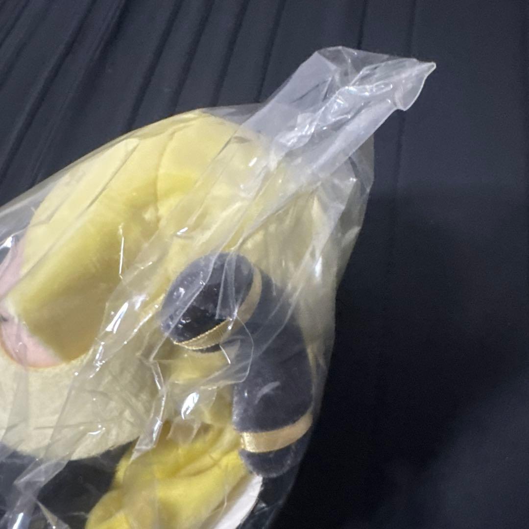 【新品未使用】ポケモン　トレーナー　シロナ　ぬいぐるみ　フィギュア　タグ付き