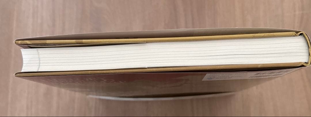 ビジュアルマップ大図鑑 世界史 新品未使用