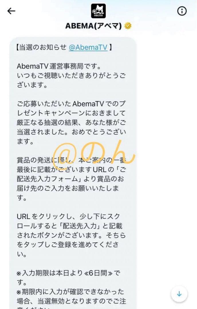 straykids アイエン 直筆サイン入りぬいぐるみ