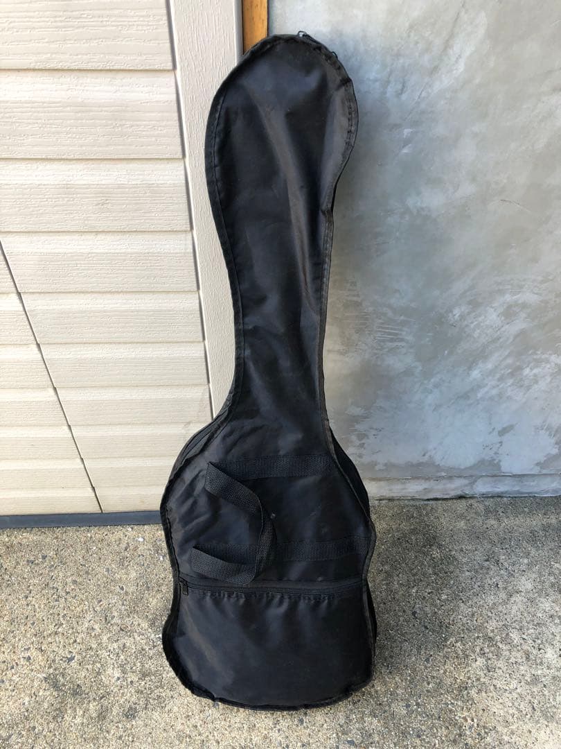 SELDER エレキギター グラデーションブラック/グリーン