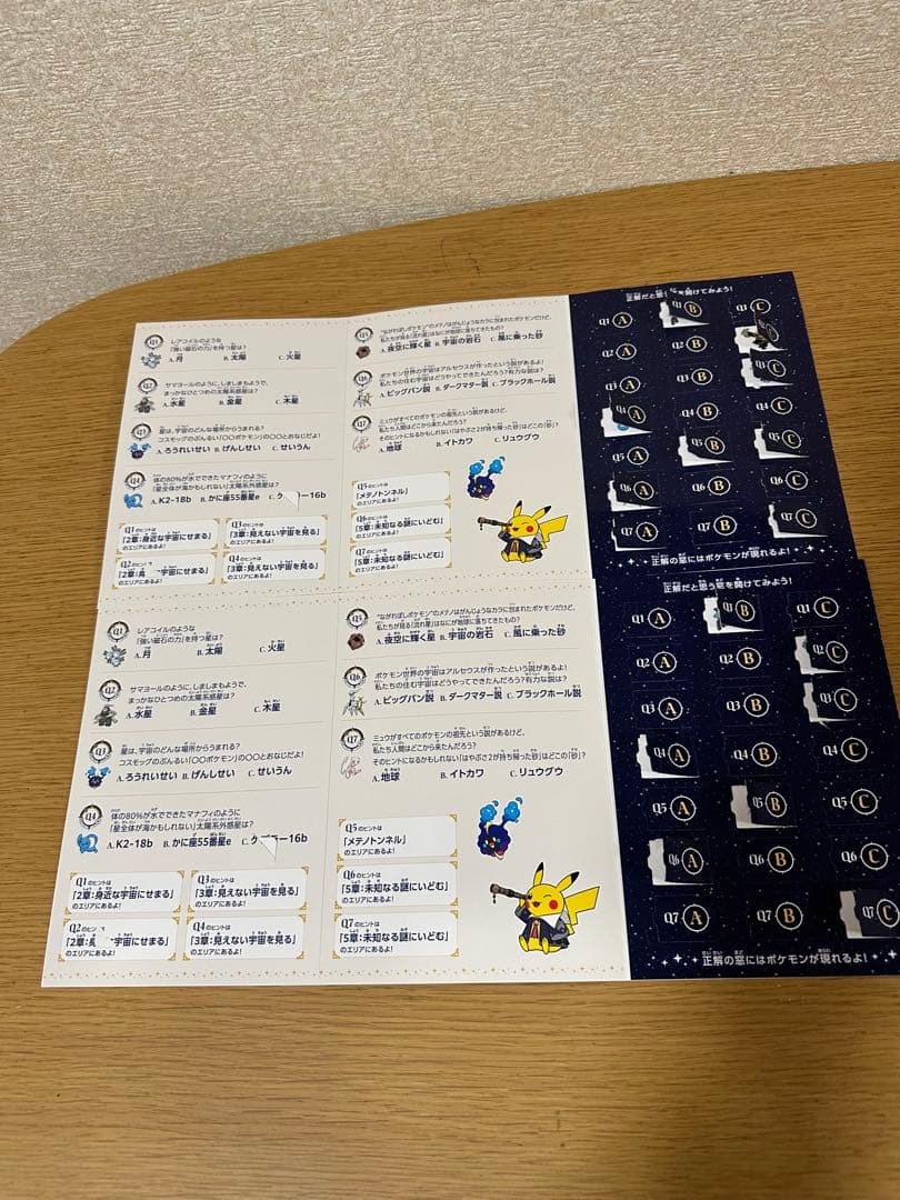 2体セット　ポケモン天文台　ピカチュウ ぬいぐるみ　観測ノート付