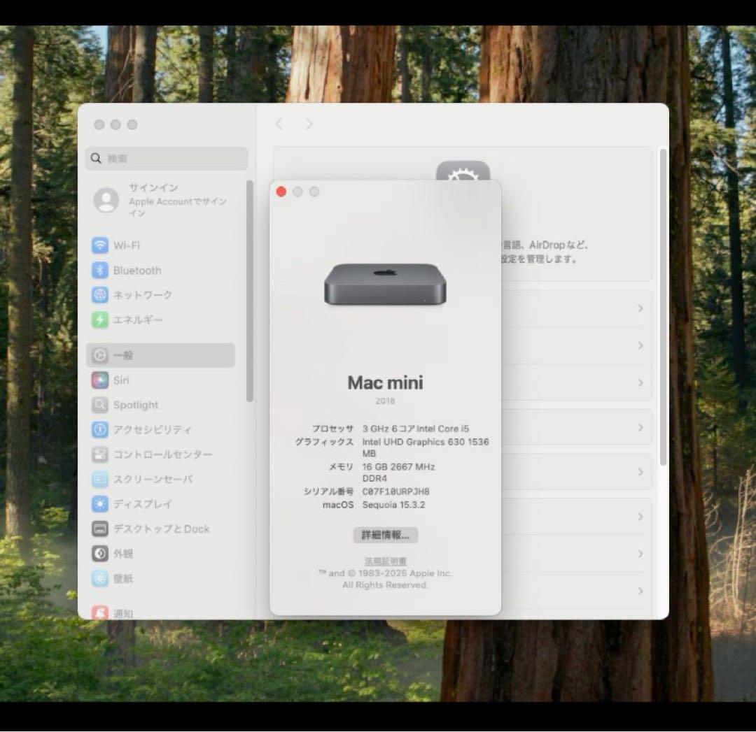 Macデスクトップ Mac Mini 2018 i5/16GB/500GB