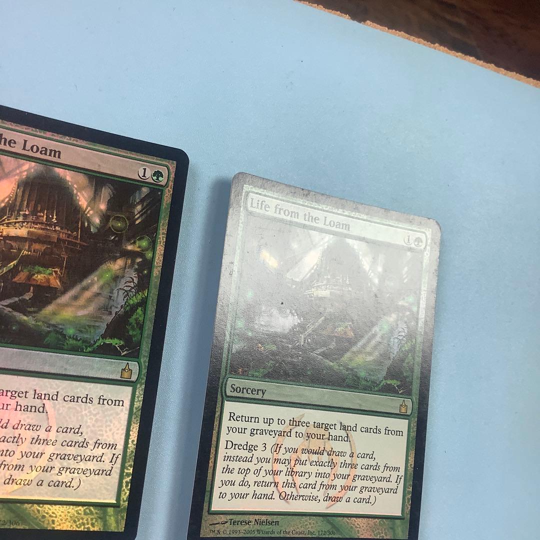 壌土からの生命　 RAV英語foil2枚セット