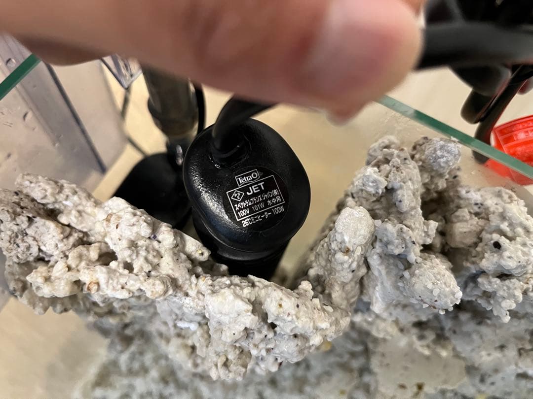 30cmキューブ水槽 オールインワンセット