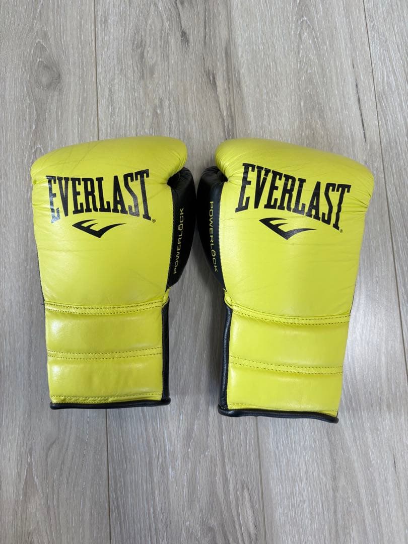 定価:29,800円 EVERLAST POWERLOCK 8oz