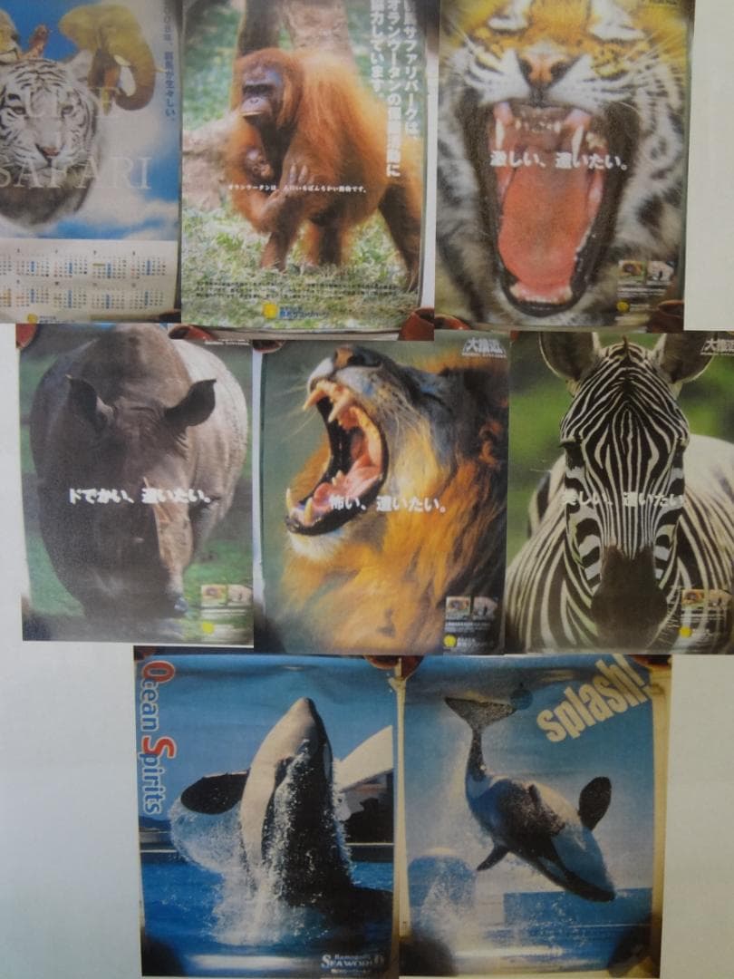 動物 シリーズ　　サファリ・・ほか非売品 ポスター10本セット