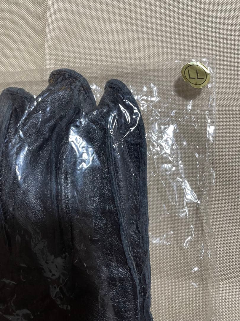 自衛隊実仕様グローブ未使用品