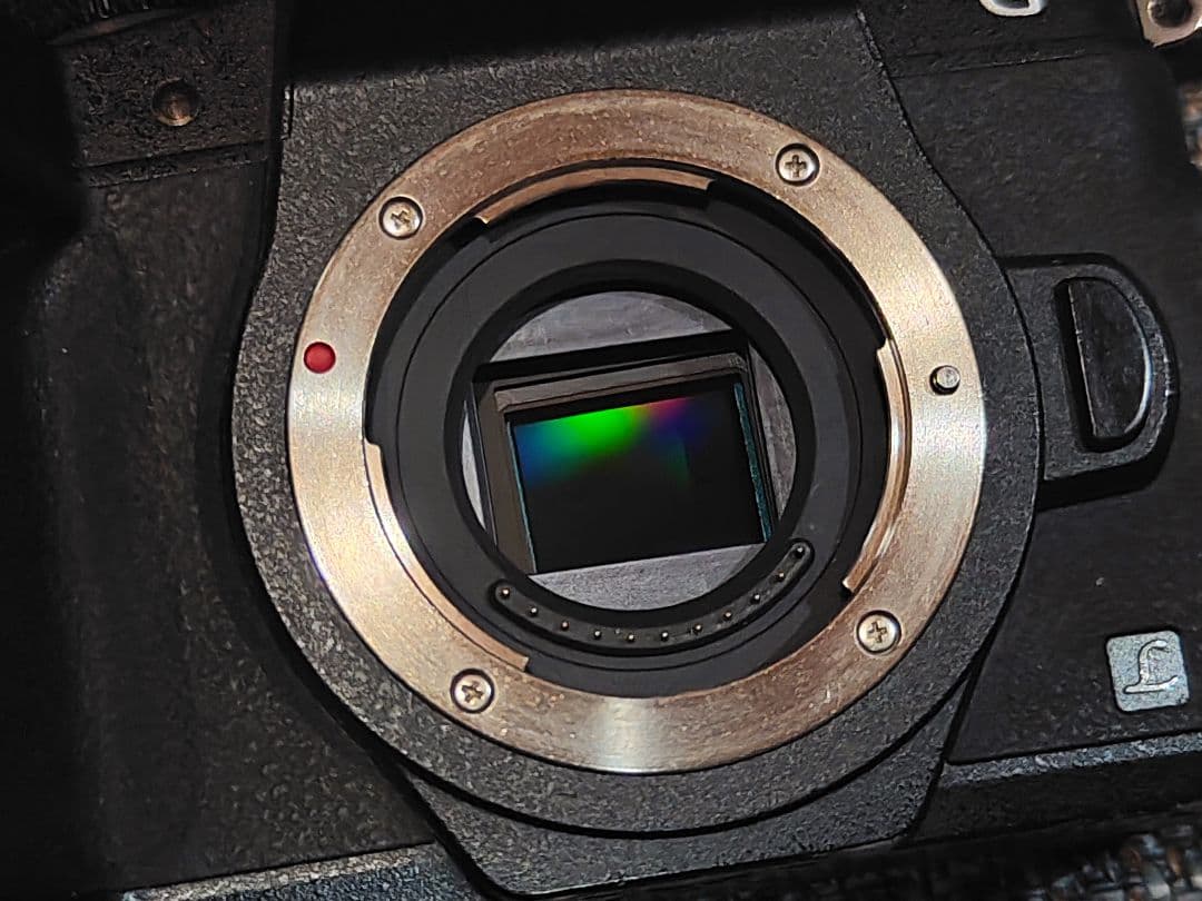 デジタルカメラ Panasonic LUMIX DMC-G8