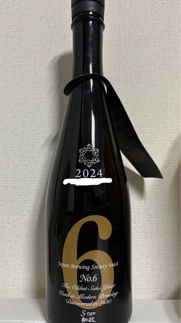 新政　No.6 S-type