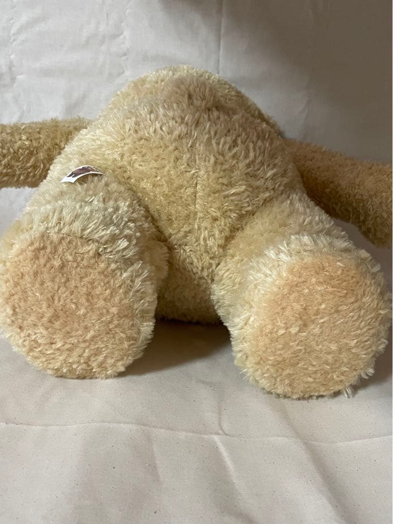 テッド おしゃべりぬいぐるみ 24インチ R指定版