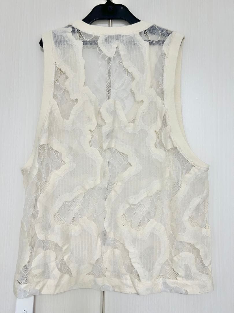 25SSフレームワークESTHE OVERSIZED SHEER LACE V