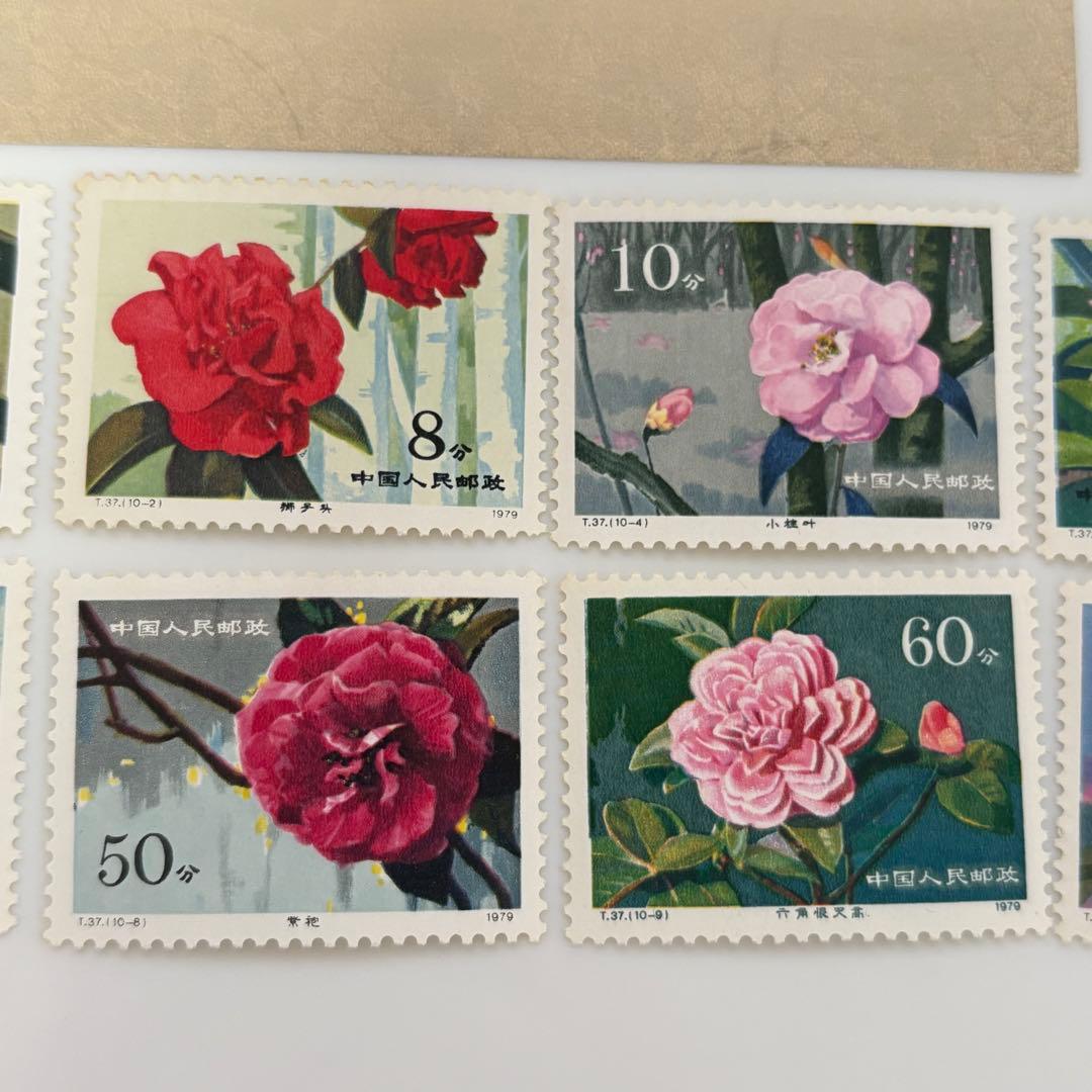 未使用品 「雲南のツバキ」 中国切手 T37 中国人民郵政
