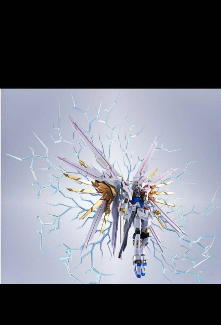 メタルロボット魂　ストライクフリーダムガンダム弐式＆プラウトディフェンダーセット