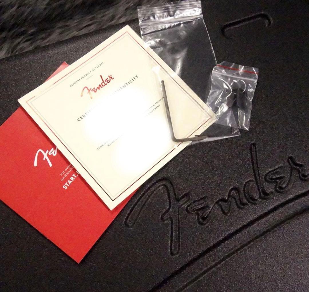 FenderAmerican Professional Ⅱ Telecaster