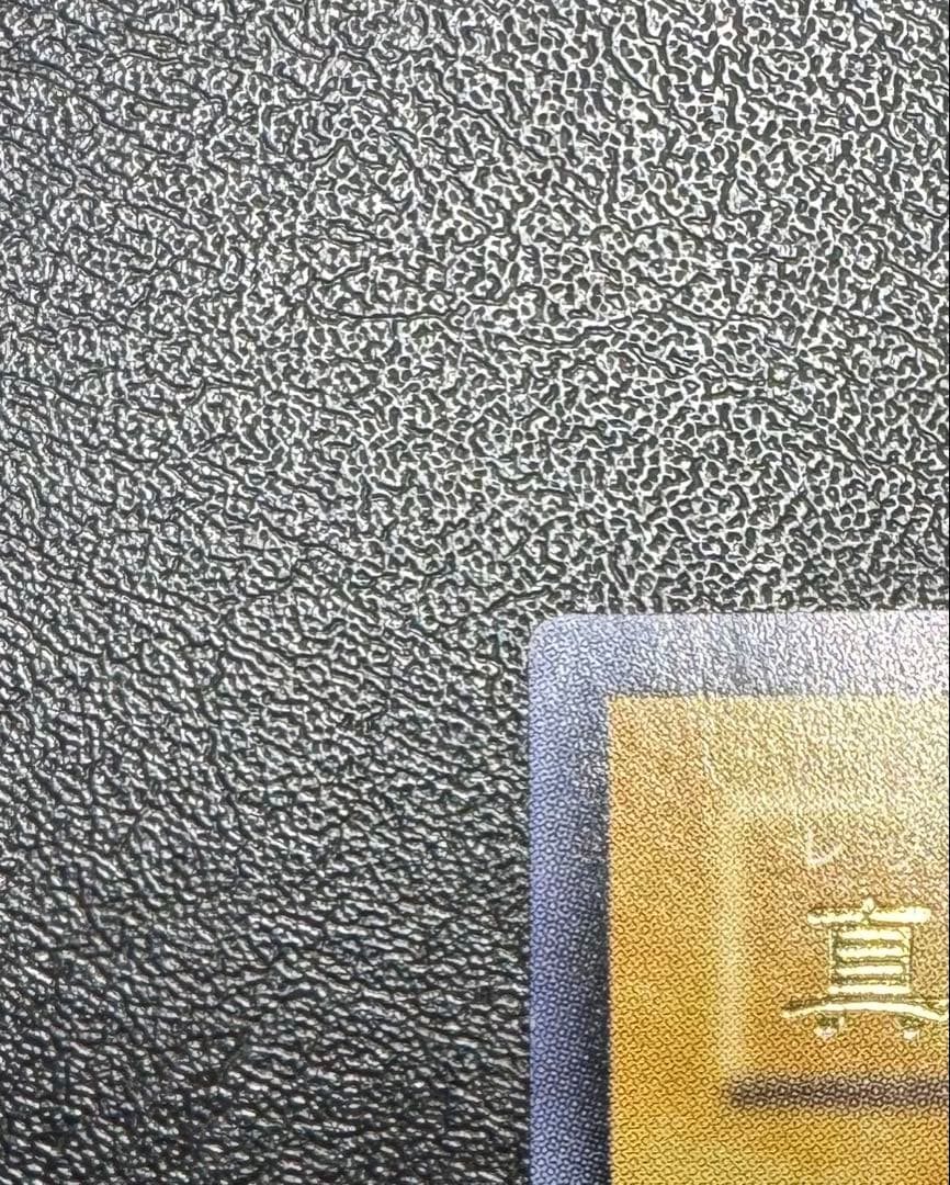 真紅眼の黒竜/レッドアイズブラックドラゴン/ 遊戯王カード/レリーフ