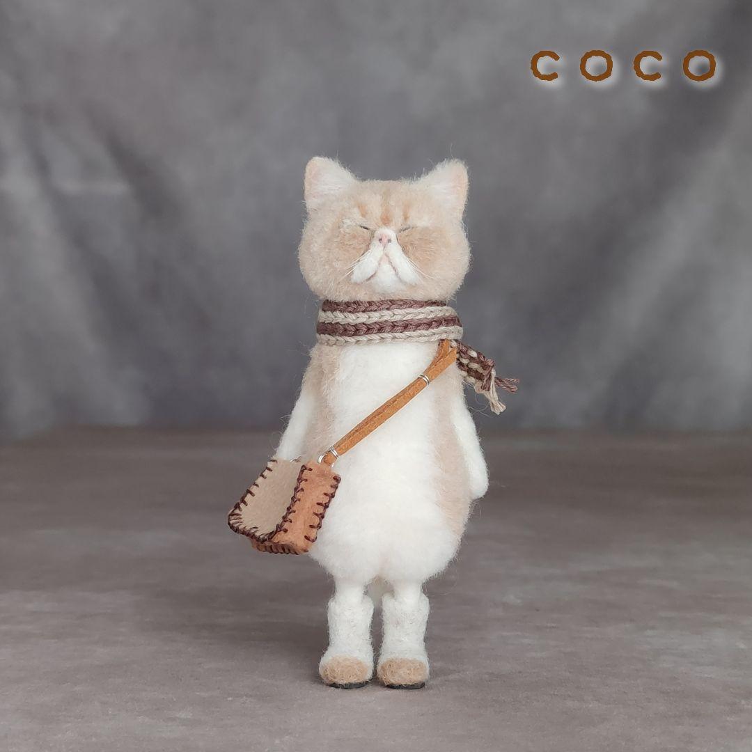 ショルダーバックを下げたエキゾチックショートヘアさん