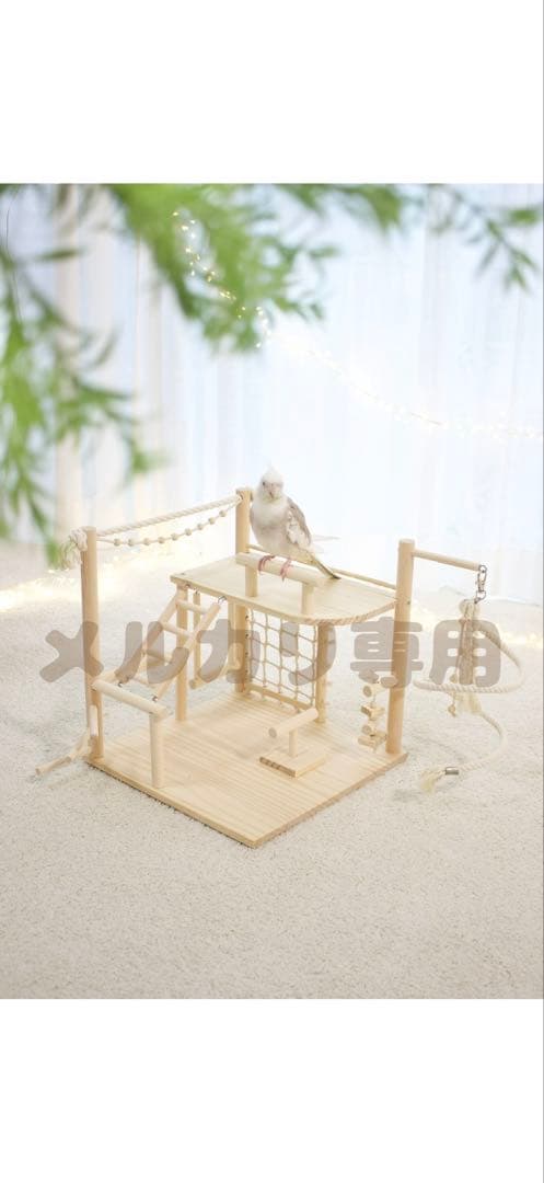 天然木のバードアスレチック