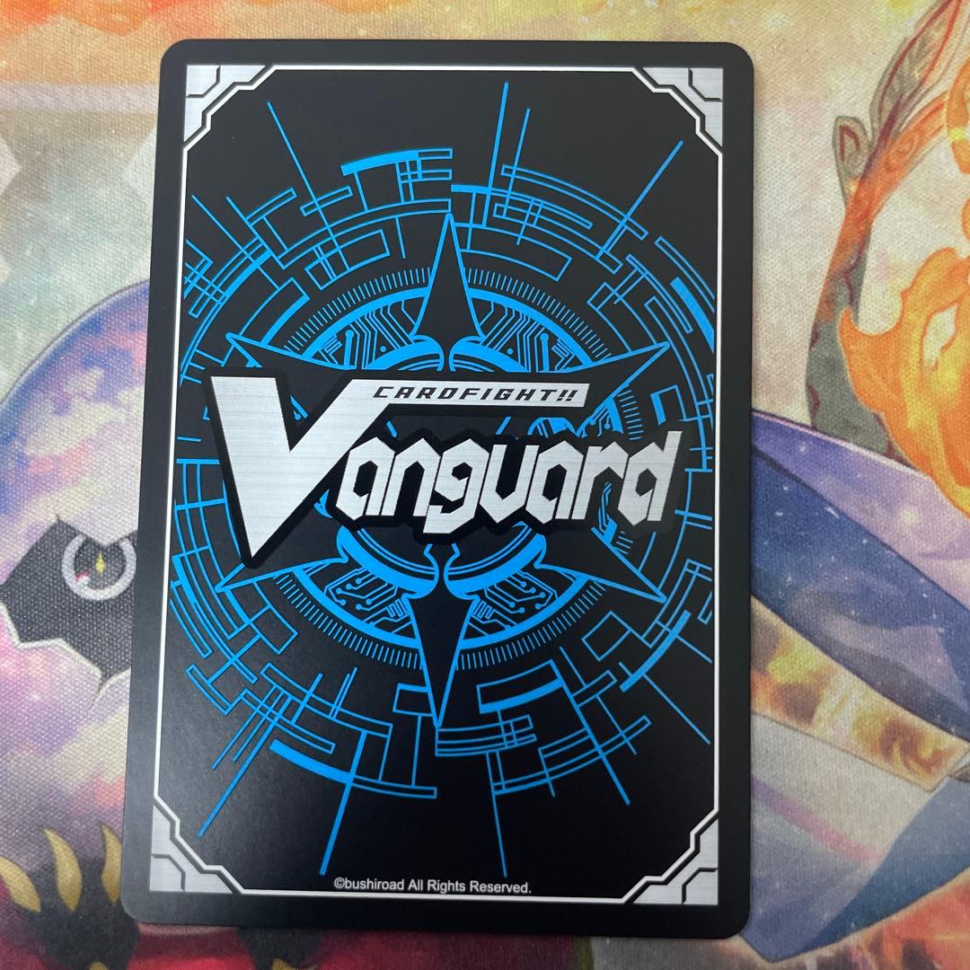 フェネル LSR 1枚