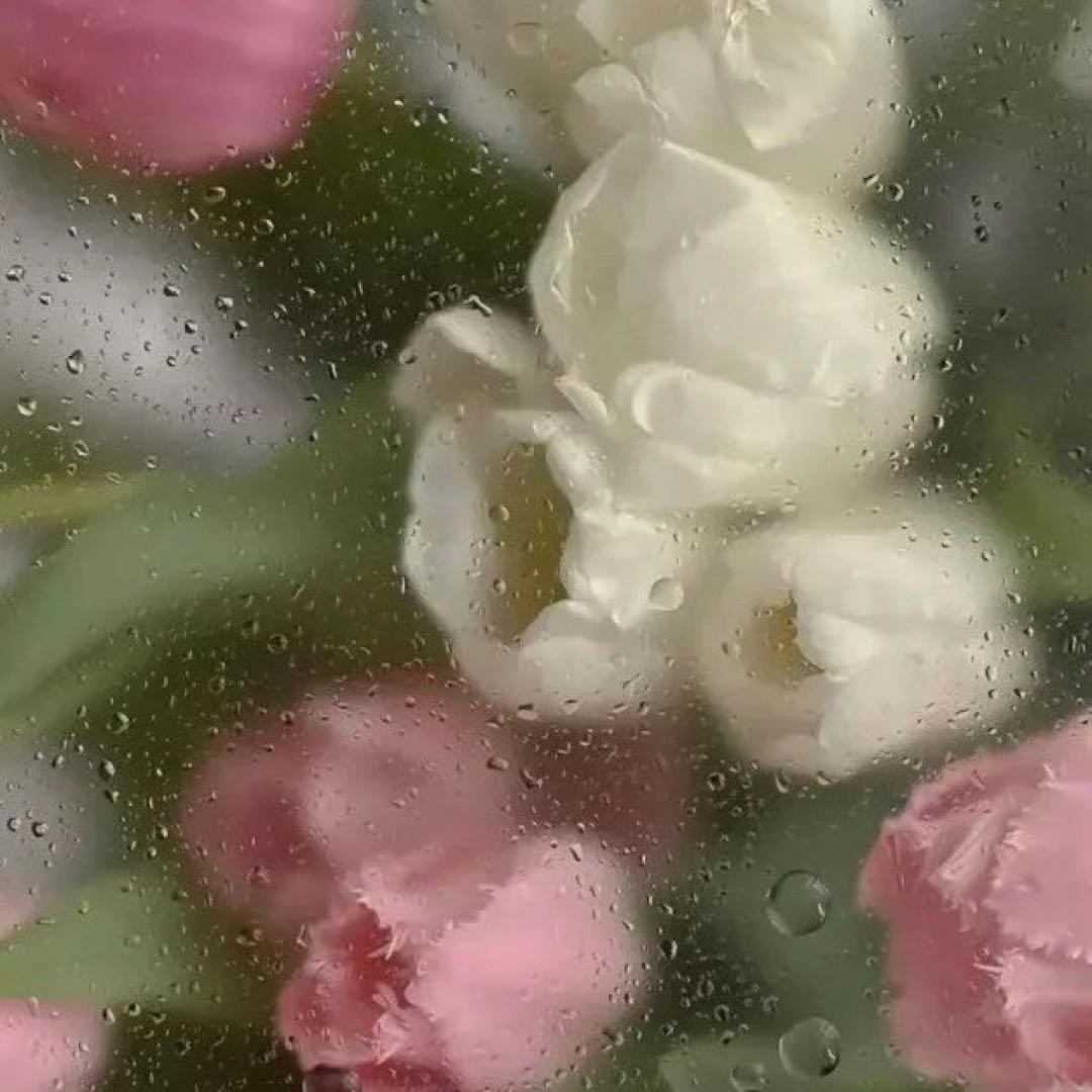 mimimiプロフご覧ください。