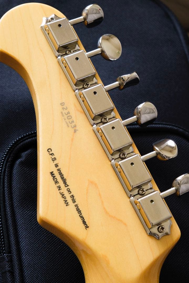 ギター FGN FUJIGEN NTE10MAH SBB Neo Classic