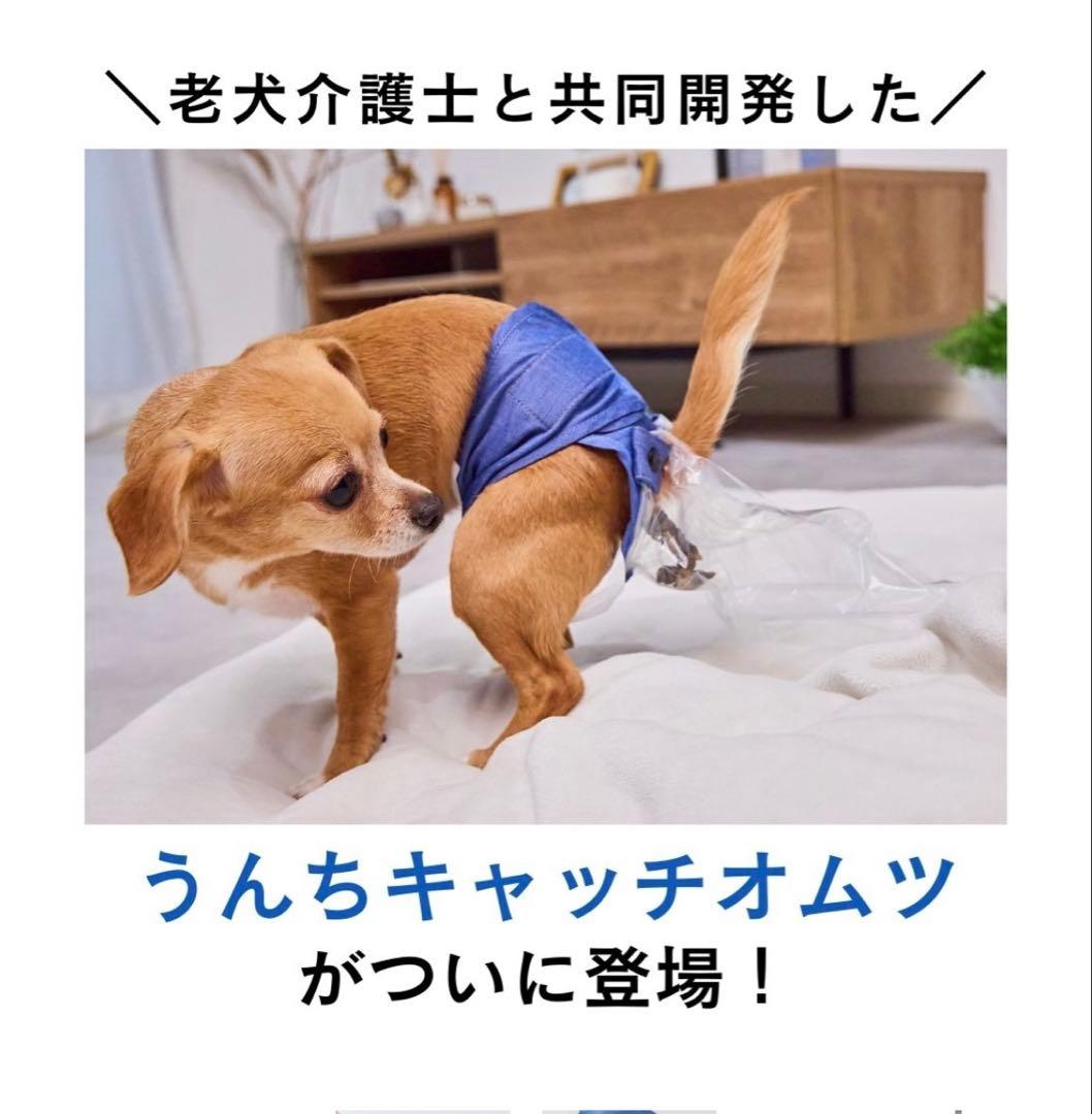 うんコロキャッチ XSサイズ3枚セット