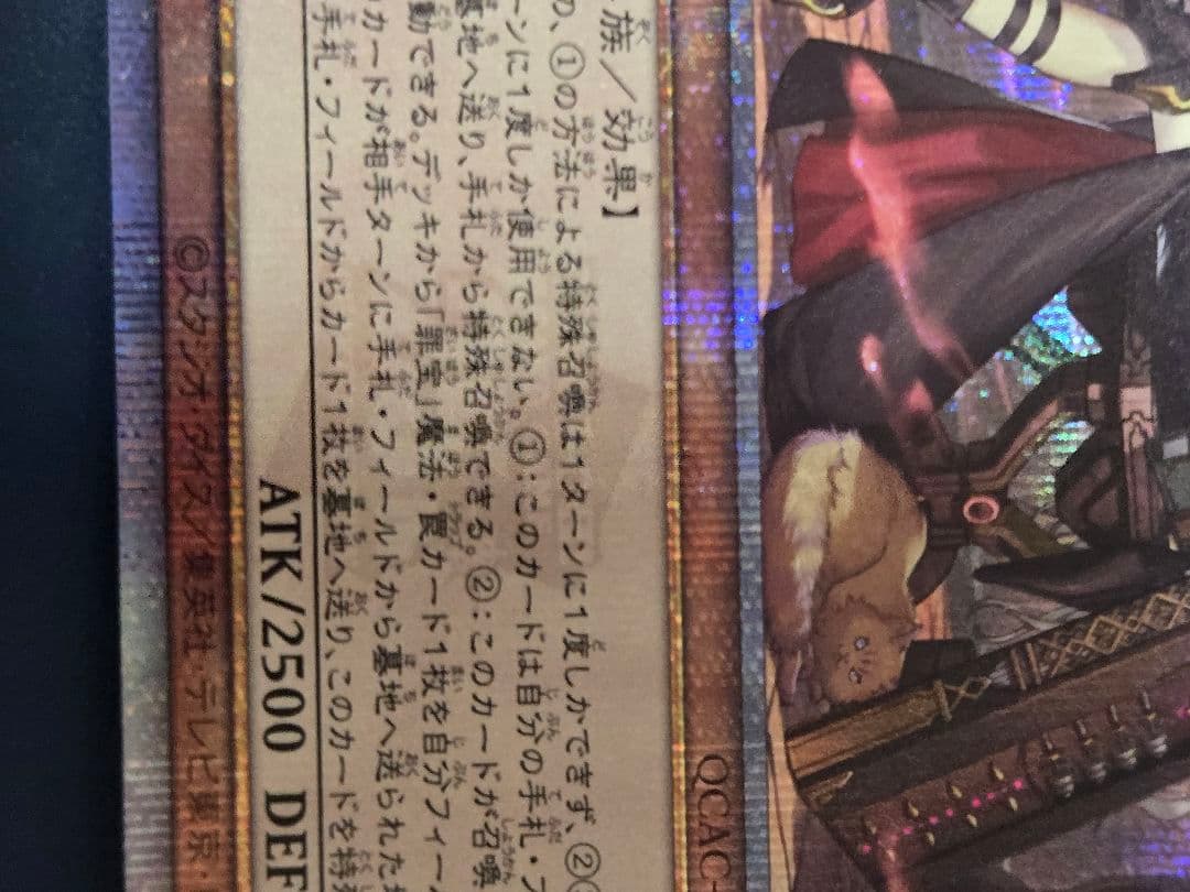 黒魔女ディアベルスター　絵違い　25th　クオシク