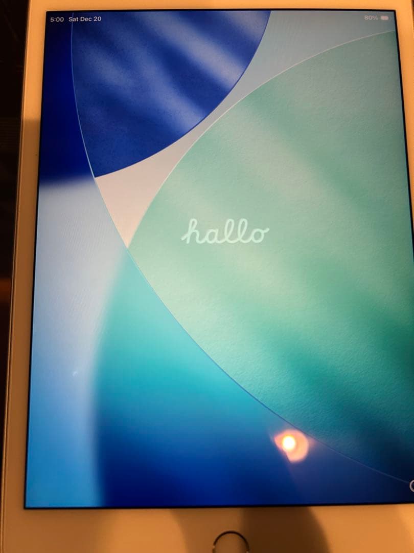 iPad mini 第5世代 [純正箱・付属品完備] ホワイトスポットあり