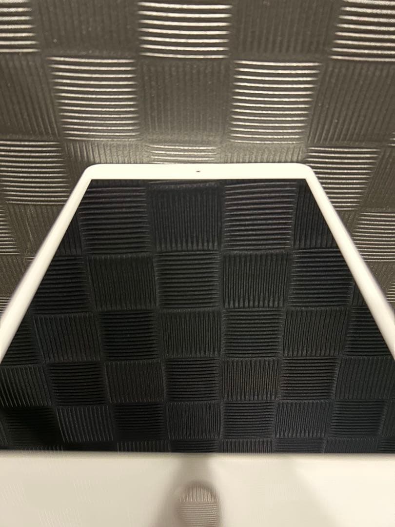 iPad mini 第5世代 [純正箱・付属品完備] ホワイトスポットあり