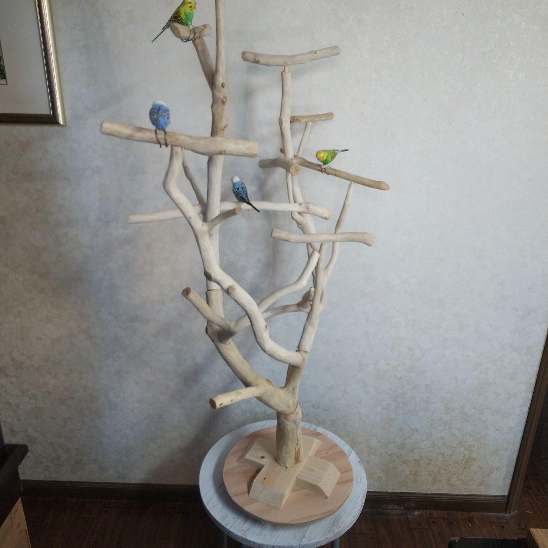 インコバードアスレチック楽園シリーズ④キャスター付