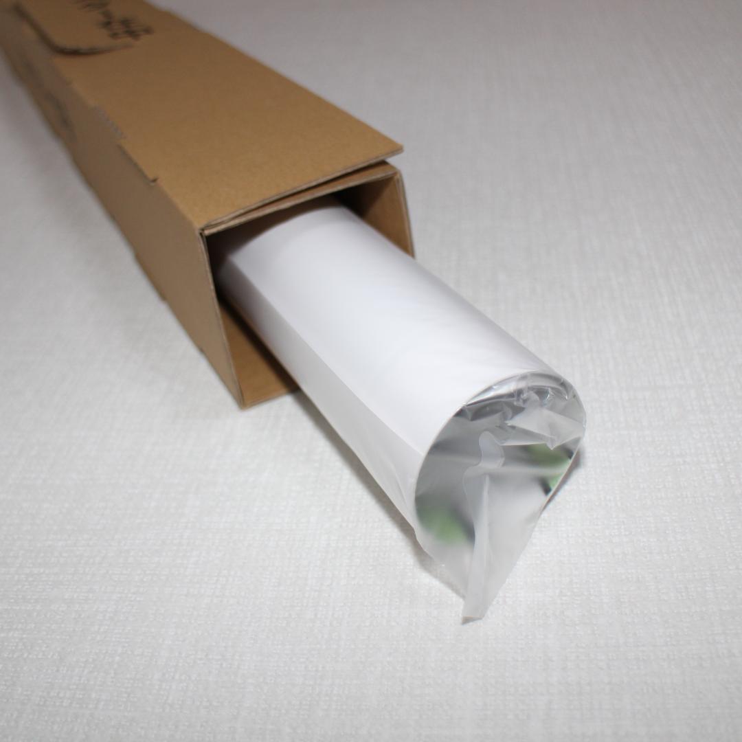 柱稽古編 Blu-ray/DVD 抽選 賞品 非売品発売告知ポスター