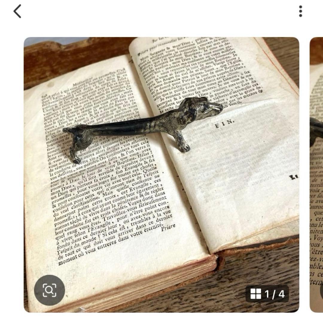 1825年フランスアンティークリトグラフ　フランスアンティーク版画　植物画　大判