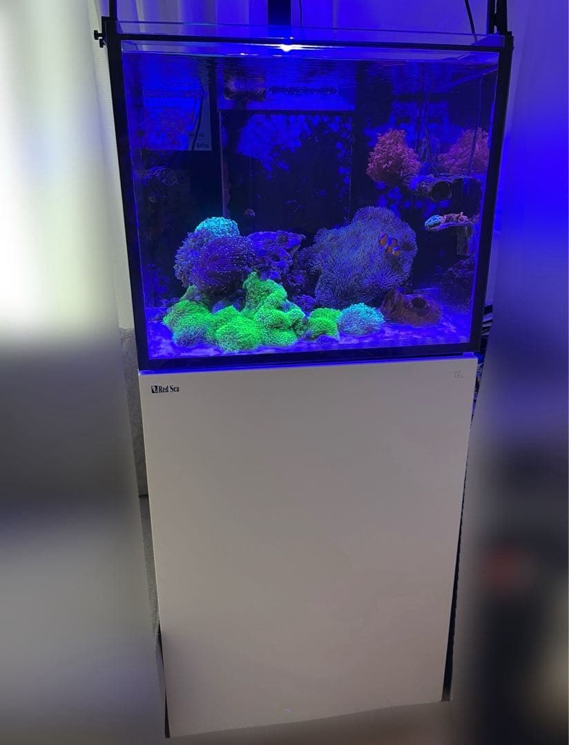 Redsea REEFER 170 G2+ 上