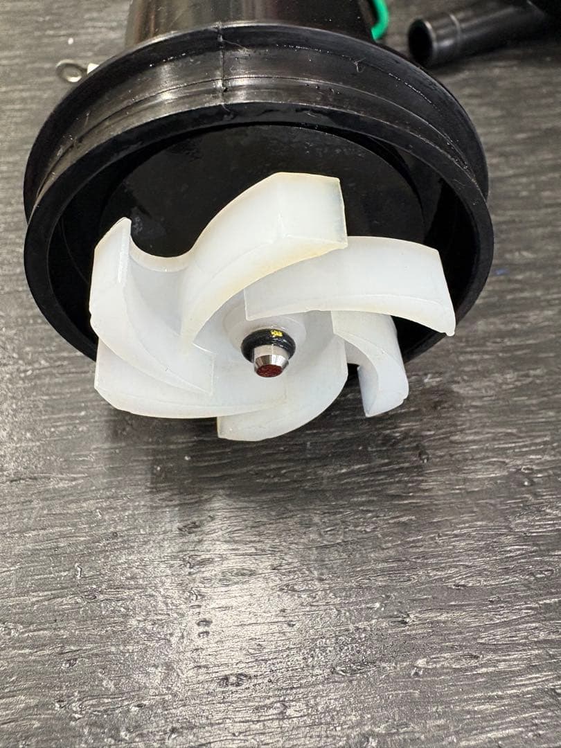 たかはし　しょうじ