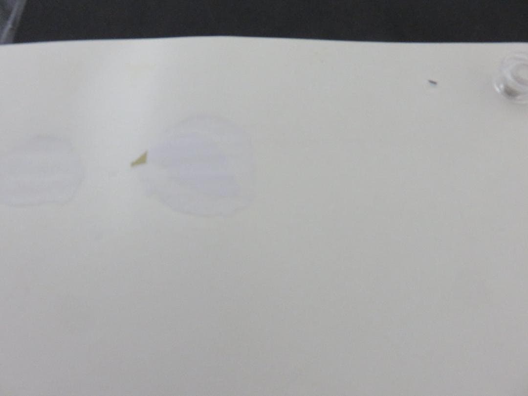 中古■うる星やつら■中吊り■ポスター■高橋留美子■アニメージュ■徳間書店■1月号