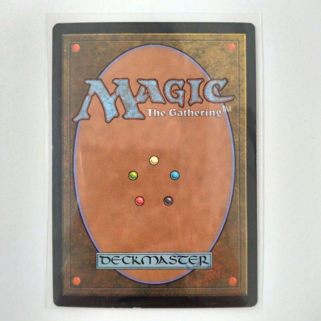 輪作 MTG マジックザギャザリング 日本版 foil
