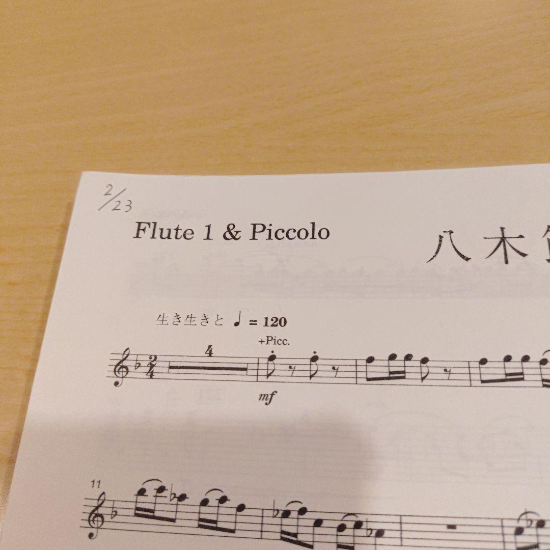 八木節/福島弘和