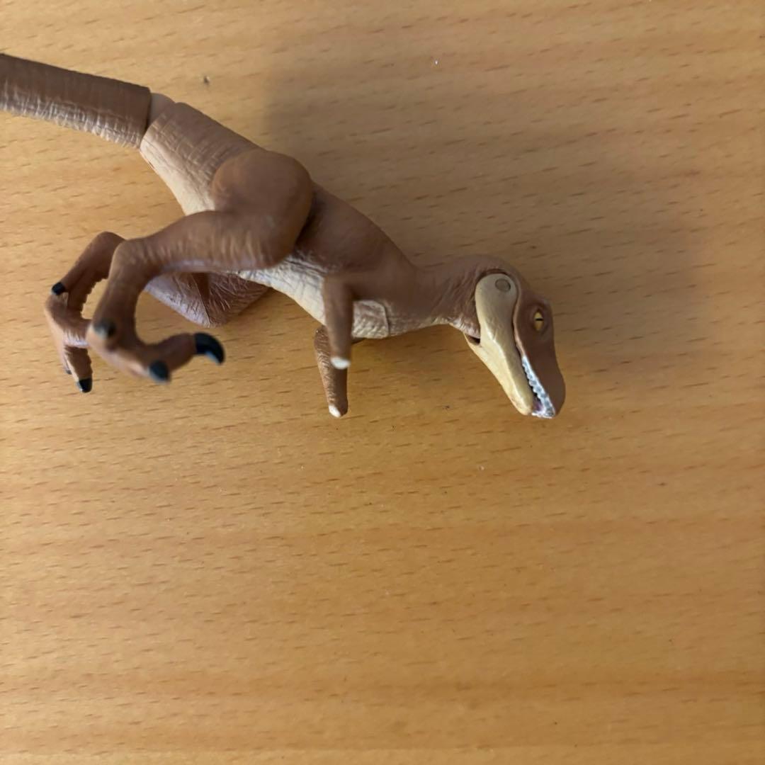 【参考写真、追加商品説明】アニア　まとめ売り