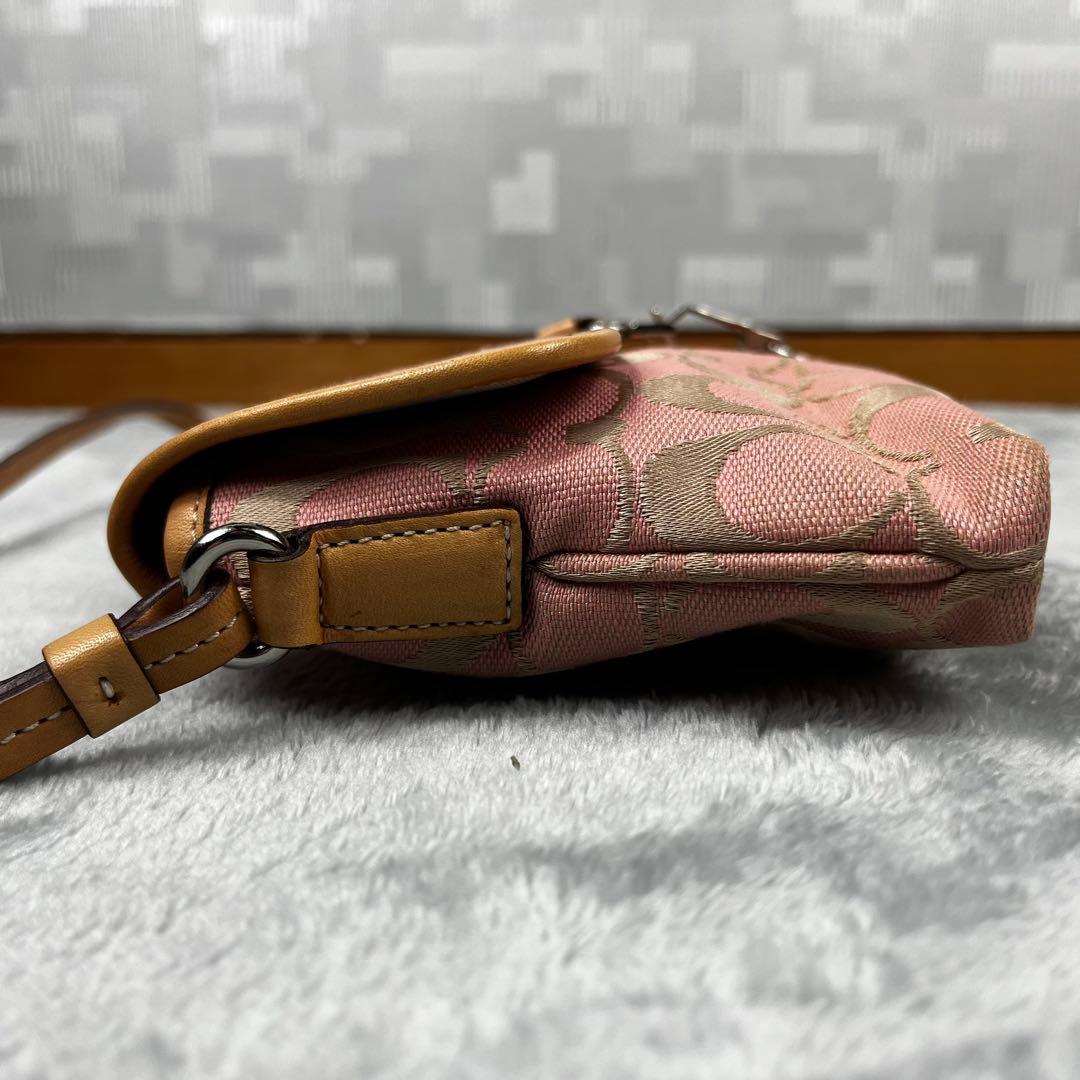 Coach コーチ アクセサリーポーチ シグネチャー ピンクベージュ