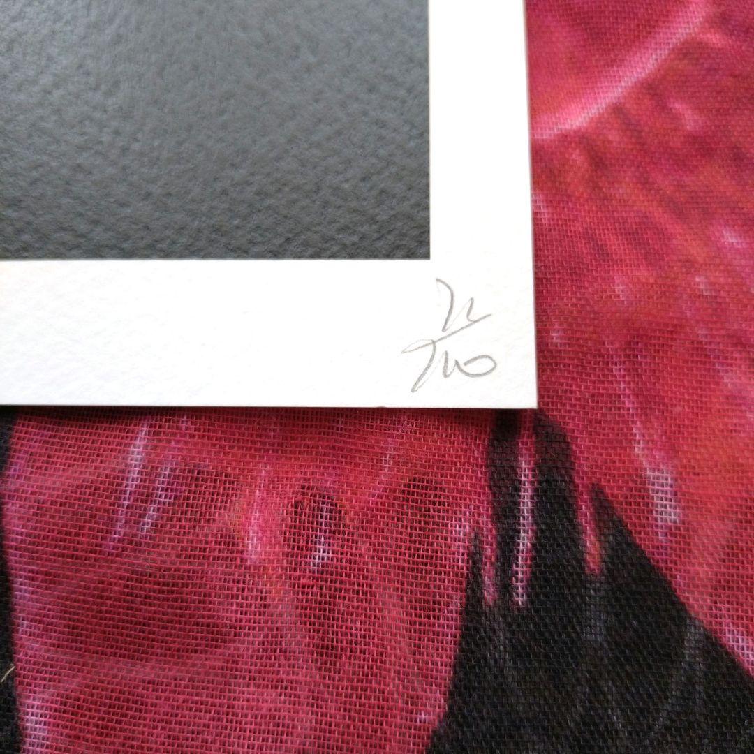 death nyc 世界限定100枚　奈良美智　ロッタちゃん　草間彌生　かぼちゃ