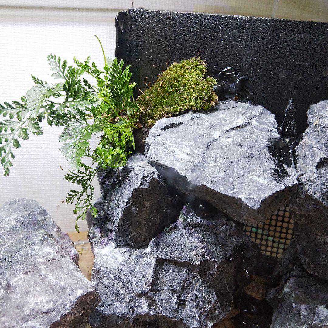 オーダーメイドアクアテラリウム