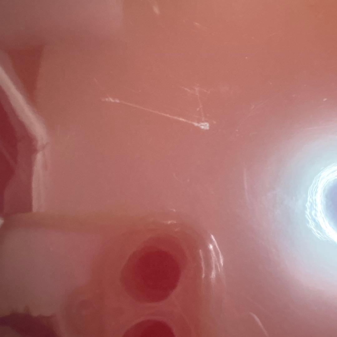 特急ひのとり 3DACDEN